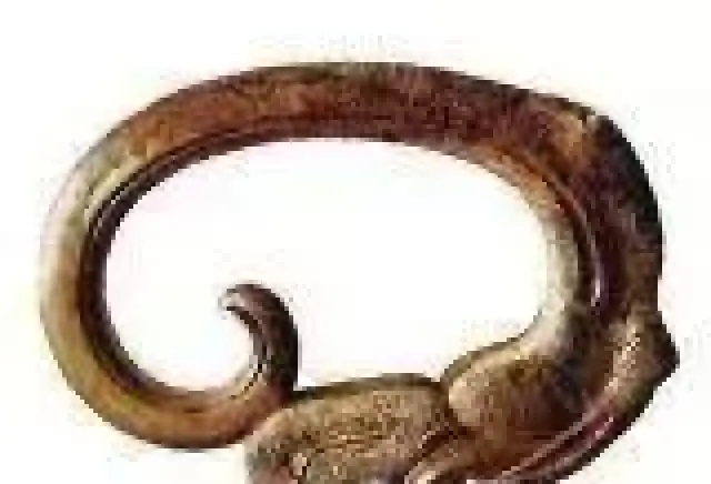 中国古代最强冷兵器——环首刀！_搜狐网