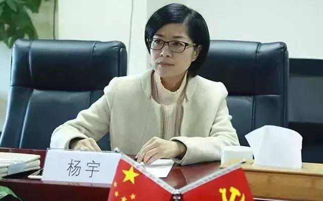 近日, 普洱市副市长, 西盟佤族自治县委书记杨宇 登上央视网华人频道