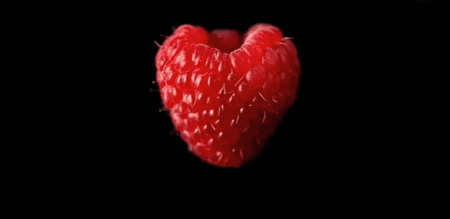 640_312gif 动态图 动图