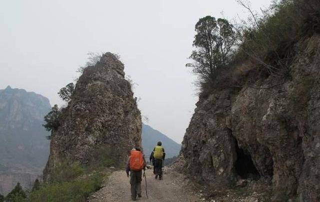 河南这座山:有巨大红色食人蚁,山羊不敢靠近!访