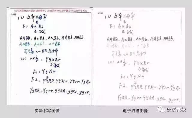 南安小学毕业考试拟实行电子阅卷,这些注意事