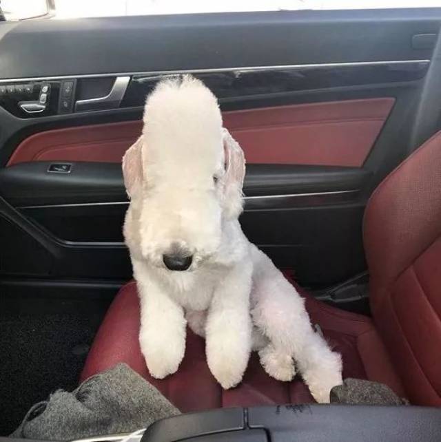 "无头"又"素色"的ins红人,教你不油腻的夏季穿搭