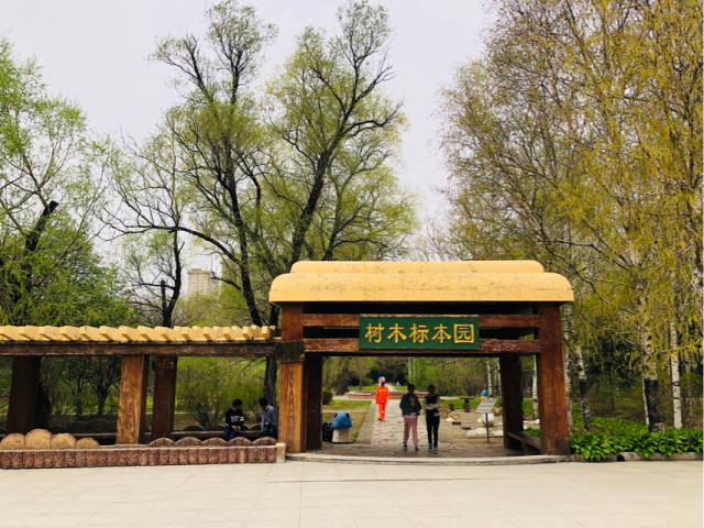 哈尔滨植物园里的春天别有一番韵味