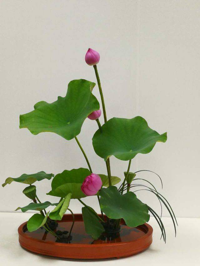 中国传统插花意境之美