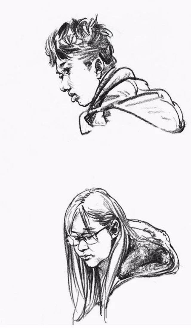 探索 >>列表今天 速写入门先画什么,我们先从头部开始 头部 头部包含