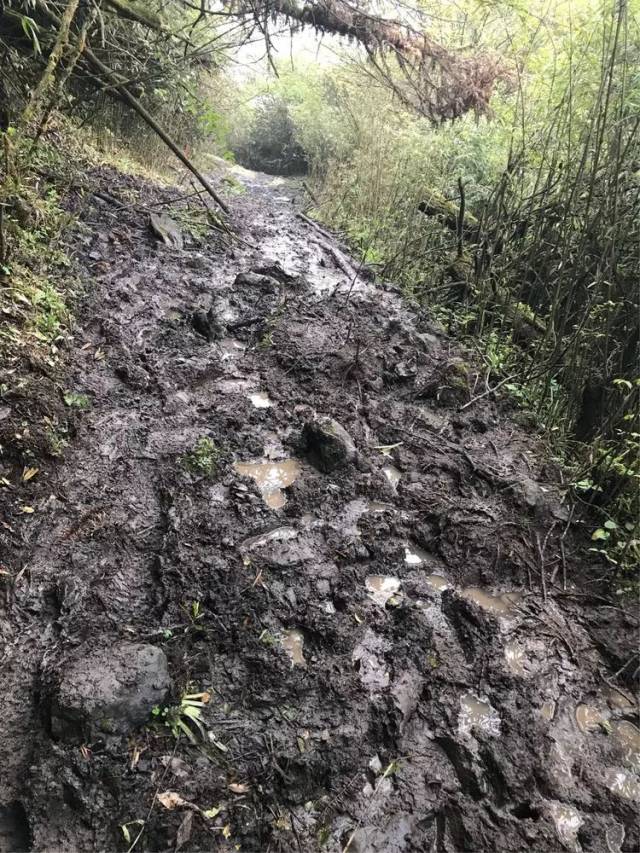 崎岖不平的道路不知道前方等待我的又会是什么呢?