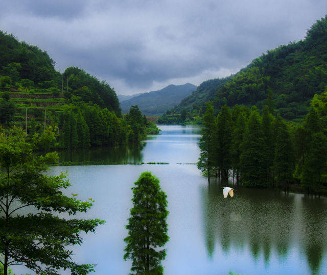 由点入面,临海市涌泉镇开展河道综合治理,展现河道美丽面貌