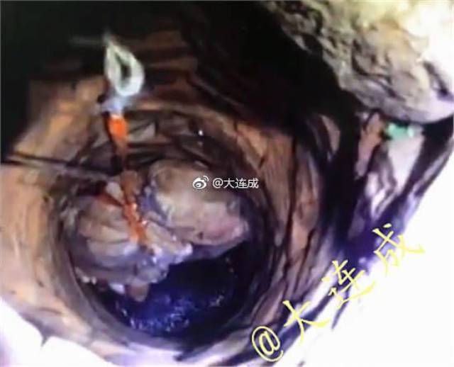 大连水井女尸案宣判:同居男求爱不成杀人弃尸 被判死缓