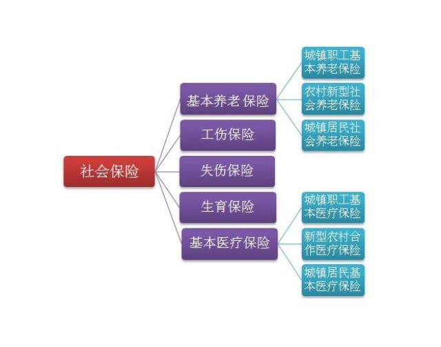 新型农村社会养老保险制度共同构成我国社会养老保险体系