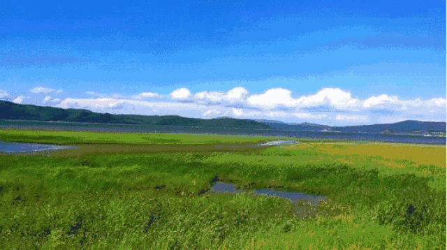 568_318gif 动态图 动图