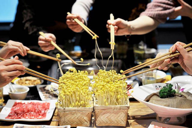 芽状元井水黄豆芽,定制打造的"网红"食材