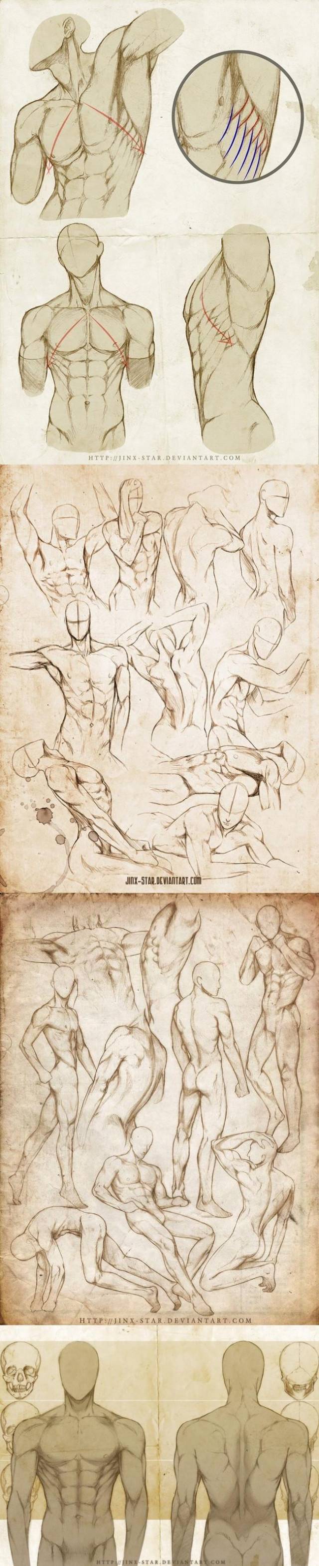 漫画男人体怎么画人体结构教程轻微课绘画网址