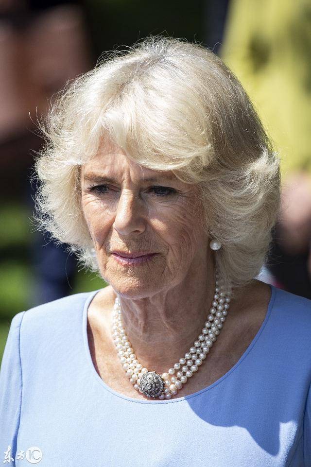 英国康沃尔公爵夫人卡米拉随夫访问法国卡米拉脸相身材皆如壮汉