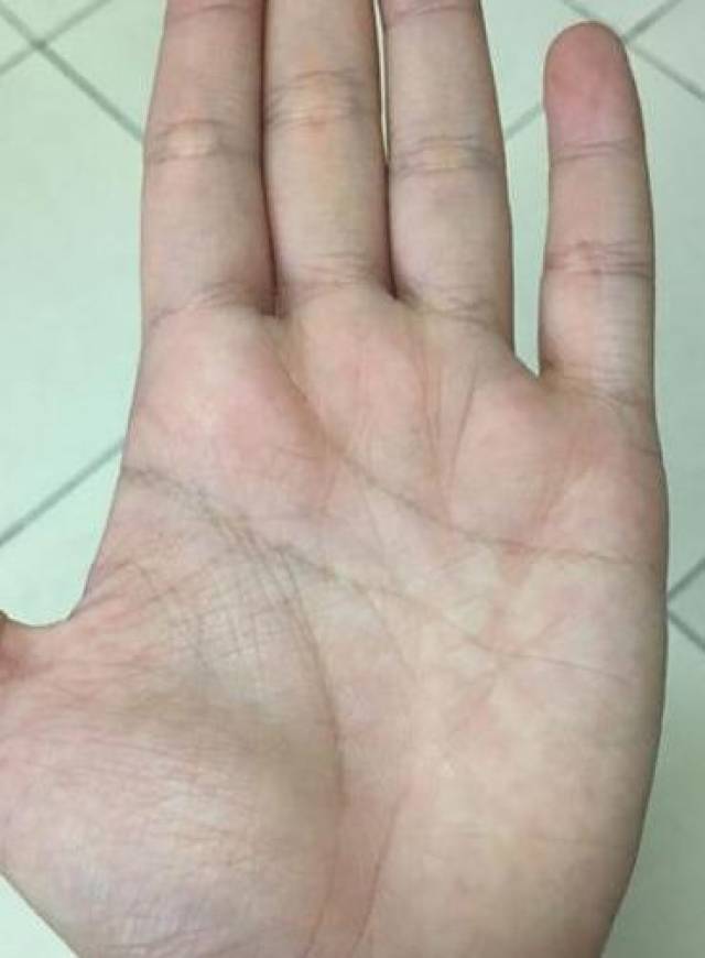 手相中有三豹纹的人中年必发运天降横财财富暴涨