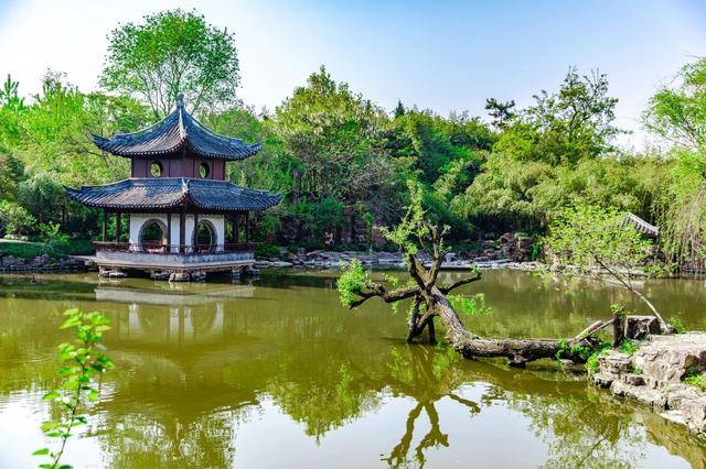 董小宛设计的园林 就在南通如皋 不输拙政园