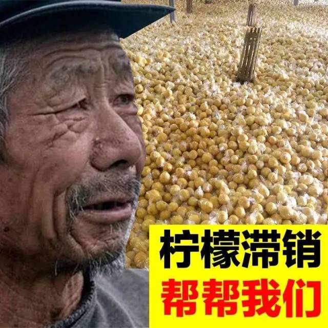 细心的网友发现,这些滞销产品的主人都是一个农民伯伯