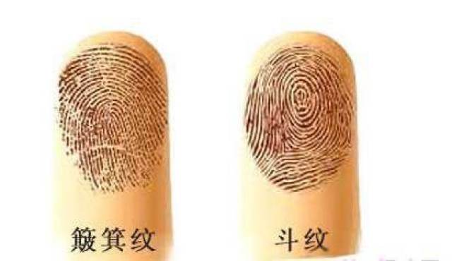 十个手指全是簸箕纹的人有何命运特征及十个手