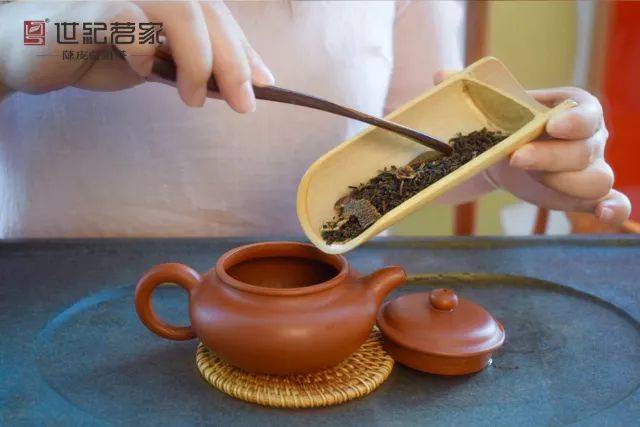 大红柑的这种冲泡方法,通用全国各地!精美图解,值得收藏!