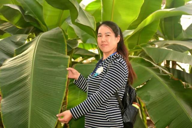 【山西】张海琴|元宵节里话锣鼓