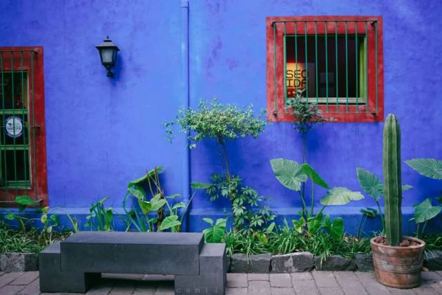这栋绿窗户的蓝房子蓝房子"燃烧"了frida kahlo自身?