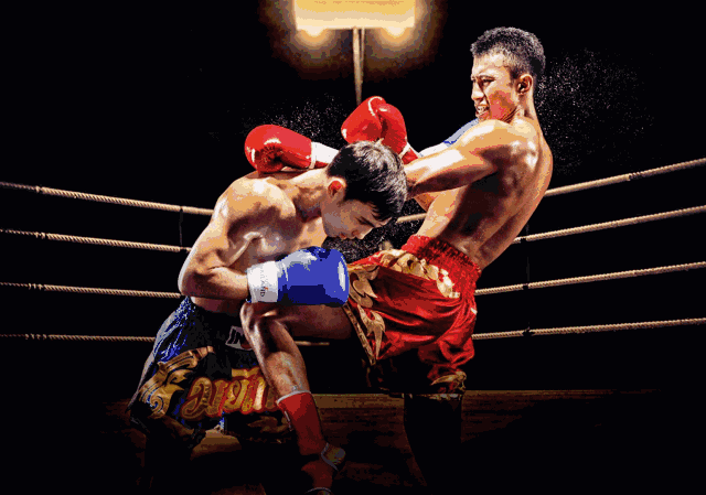 640_449gif 动态图 动图