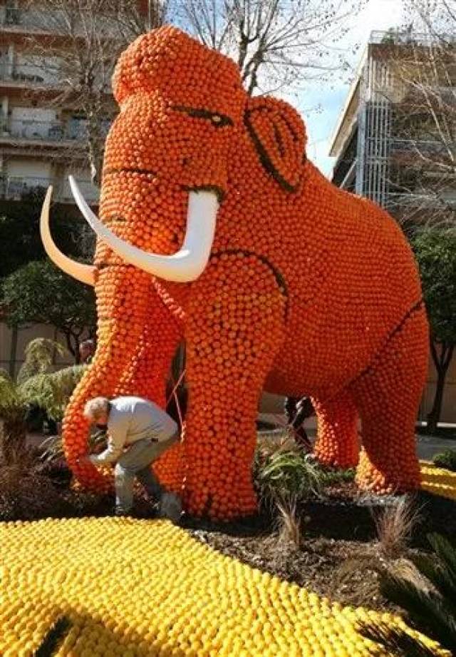 用柠檬做的雕塑你见过吗?