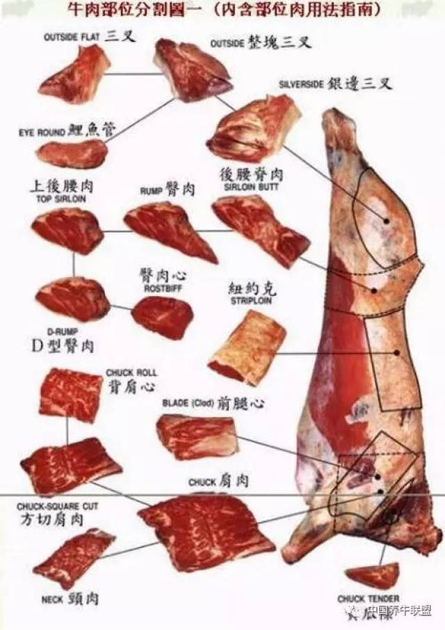 牛肉分割生产工艺流程图
