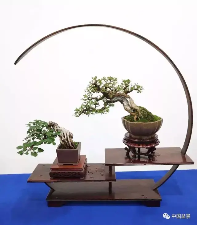 古船木家具:承载历史韵味的艺术品