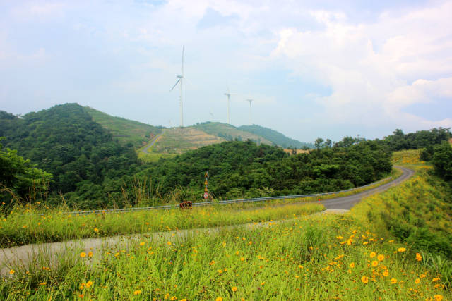 宁波最美风车公路,美景再现