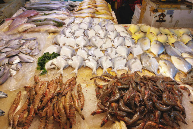 海鲜市场鲜活海鲜多得令人眼花缭乱 鲜活,野生,养殖,进口都有