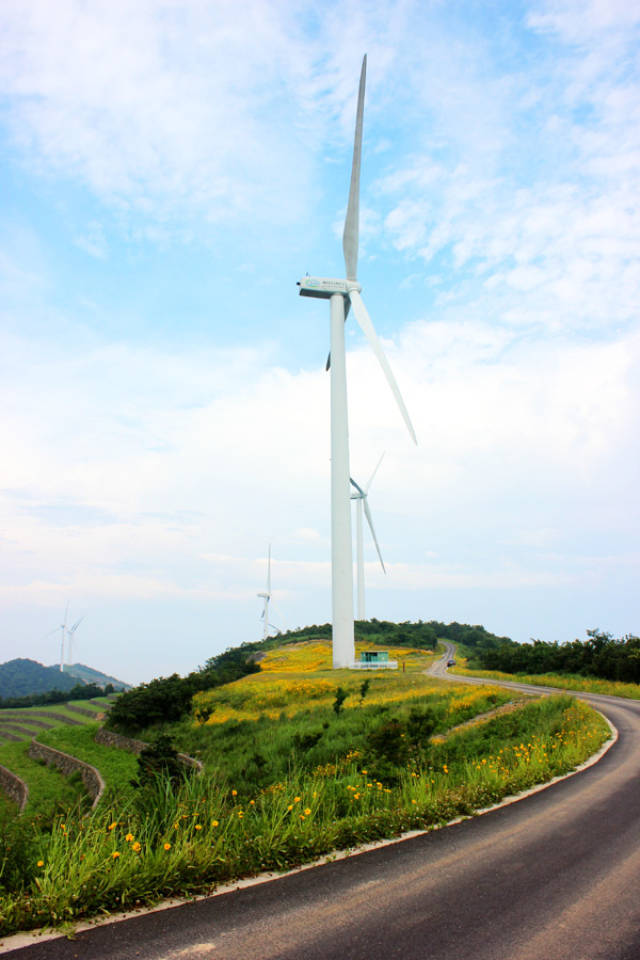 宁波最美风车公路,美景再现