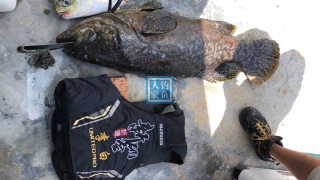 地势险恶的小岛悬崖峭壁钓获25斤大石斑鱼意外收获10条深海大鱼