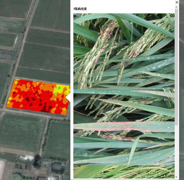 ai 无人机遥感监测如何升级传统农业