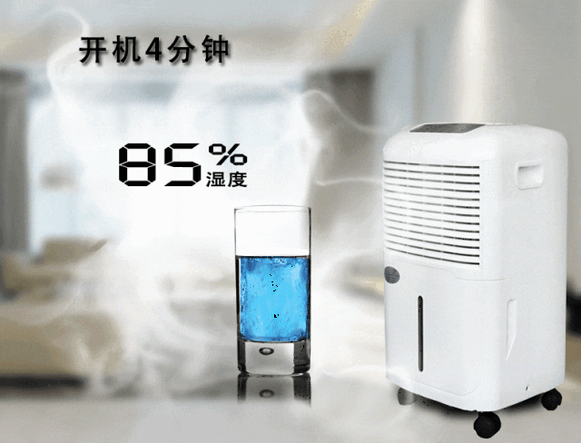 640_487gif 动态图 动图