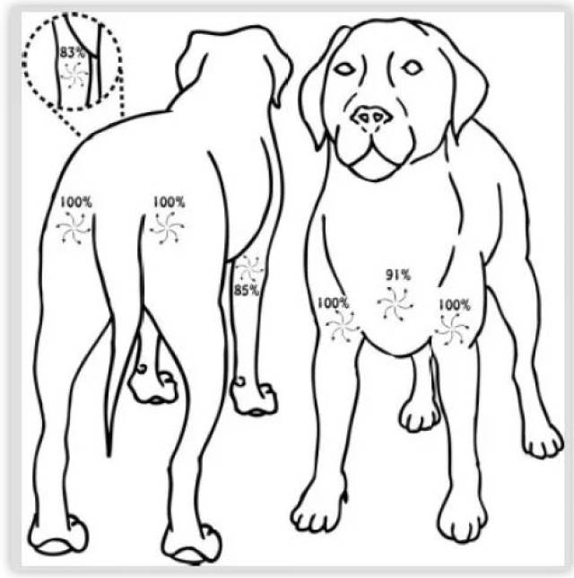你知道相猫术与"毛病"的来历吗?