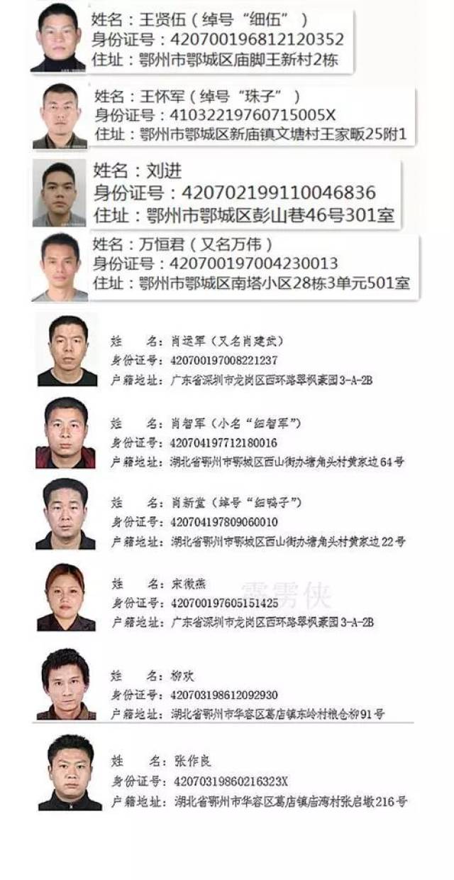5月10日,"霹雳"行动3号通缉令第7号犯罪嫌疑人陈某主动到公安机关投案