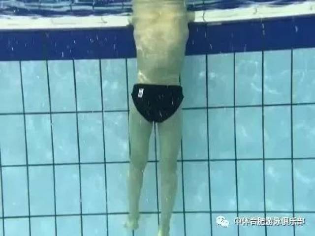 蛙泳初级教学 -蛙泳腿