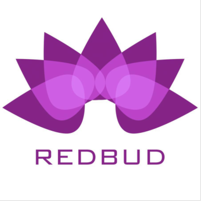 redbud战队:专注实力提升