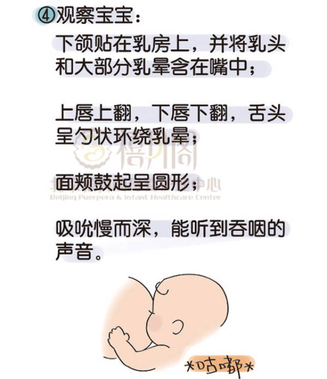 母乳喂养:正确的含接姿势