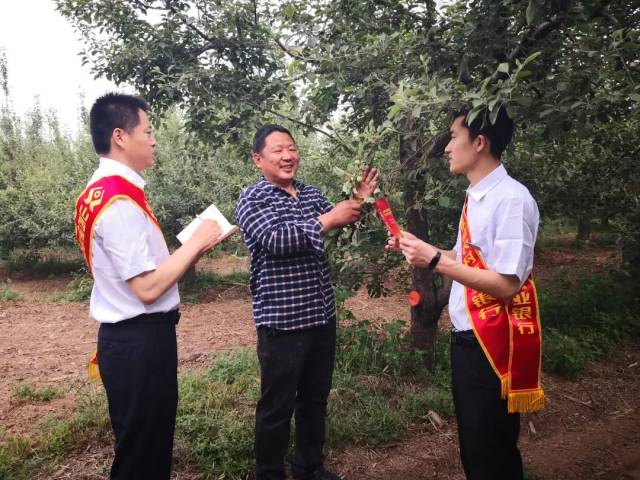 临汾银行业:精准扶贫见成效 金融扶贫谱新篇