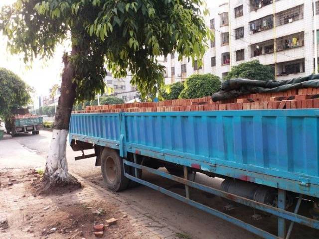 巨变城乡中的"卖砖女"现象及其背后省思 ——基于s市l镇的考察