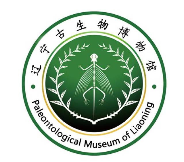 皇姑区博物馆联盟放大招,"博物馆开放日"还可以这么玩!