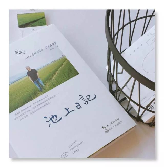 蒋勋「池上日记」丨过得像个人,才能看见美