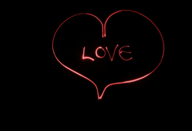 我和你会相扶到老,爱你到老.