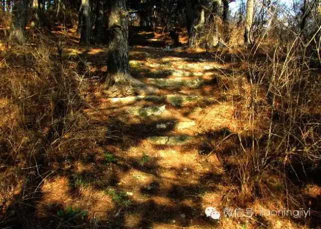 伪满大臣张焕相自建的神社什么样?