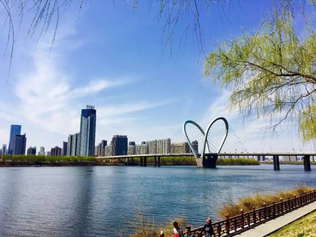 沈阳五里河的五公里河