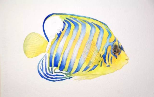 7,干画法单色渐变的方式用群青对较深色的花纹纹路上色,注意受光面的