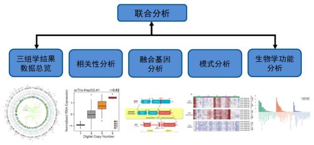 多组学联合分析内容    丰富的医学临床转化经验.