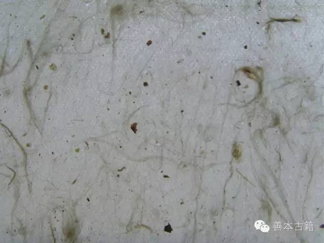 中国古代古籍纸张种类介绍_搜狐网