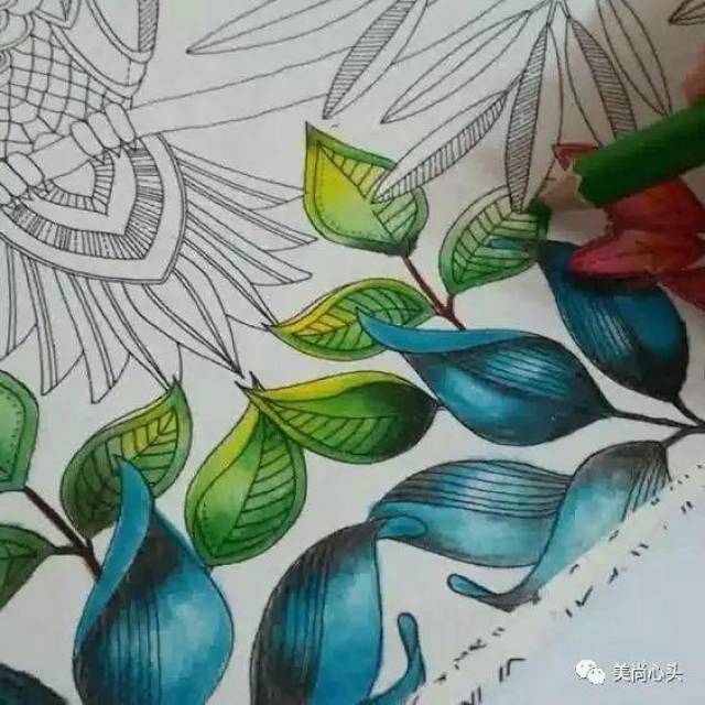 【全套】彩铅怎么上色|彩铅手绘入门教程